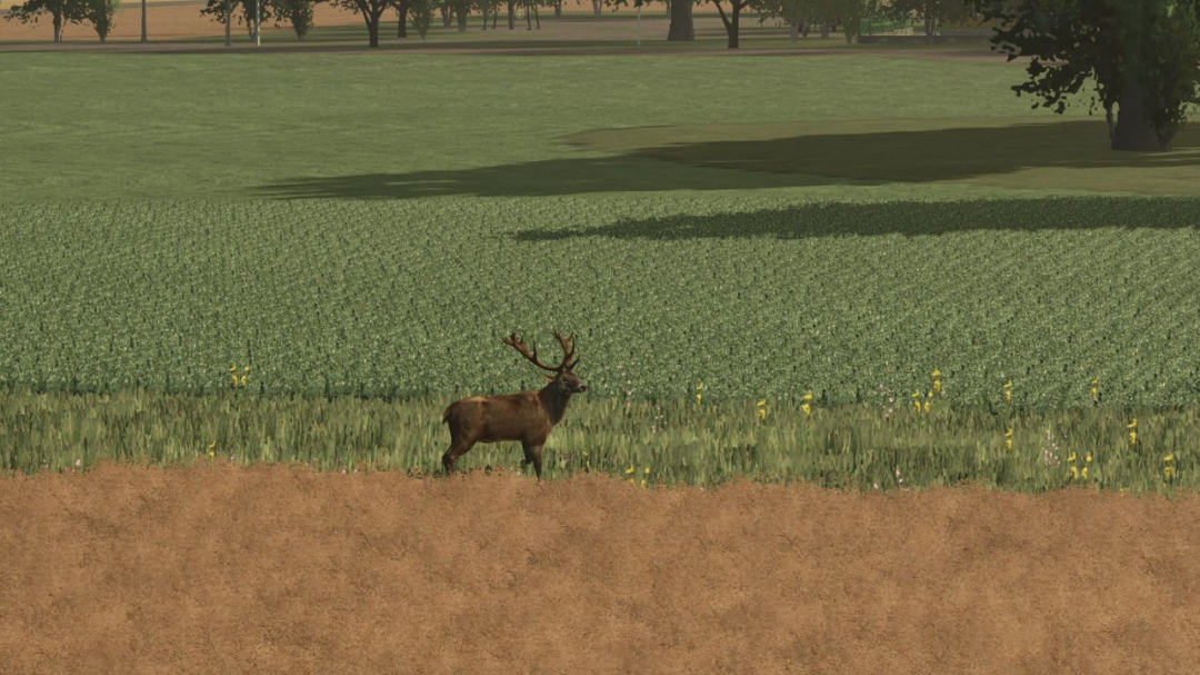 More Wild Animals V1.1