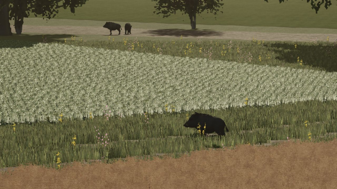 More Wild Animals V1.1