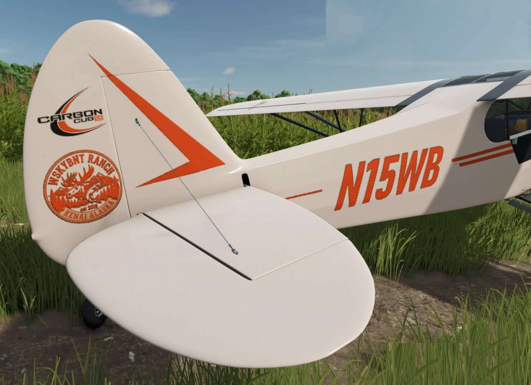 WSKYBNT CARBON CUB v1.0