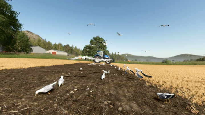 fs25-mods,  Field Gulls V1.0