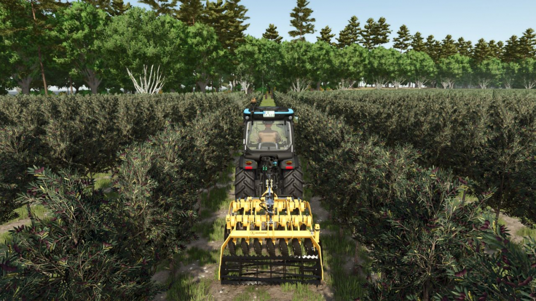 Tools for grapes and olives V1.0