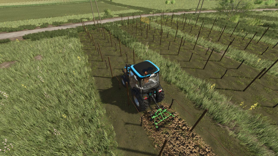 Narrow Vines And Olives (2 And 2.50) V1.0