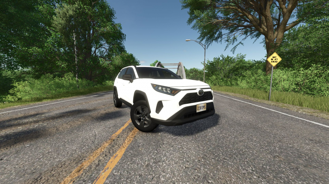 TOYOTA RAV4 2020 V1.0