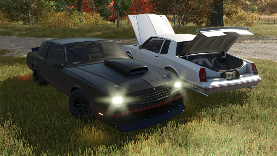 Chevrolet Monte Carlo 1987 V1.1