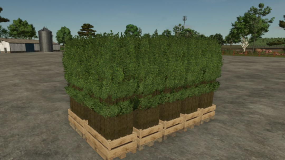 Pallet With Tree Seedlings V1.0