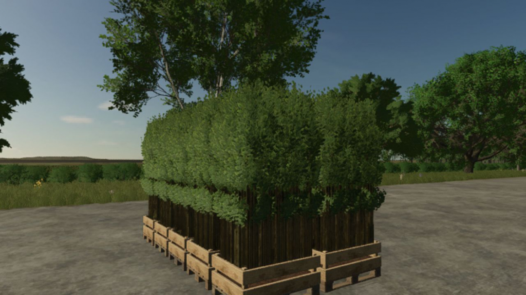 Pallet With Tree Seedlings V1.0