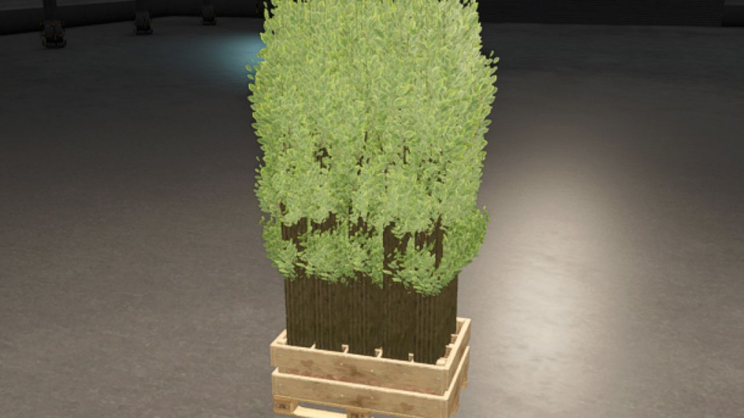 Pallet With Tree Seedlings V1.0