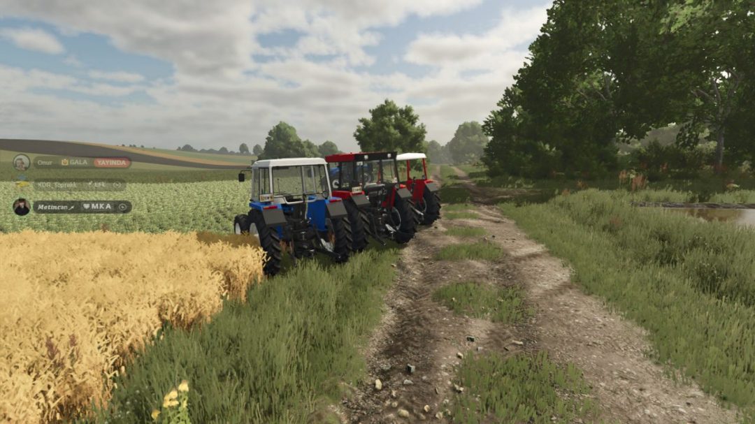Fiat New Holland 56-66 Series Edit V1.0