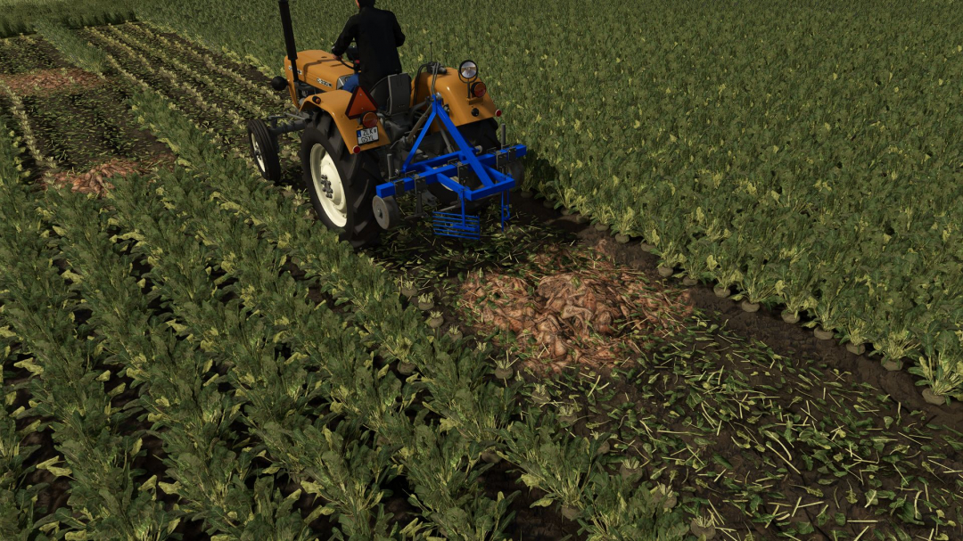 Beet Machines V1.0