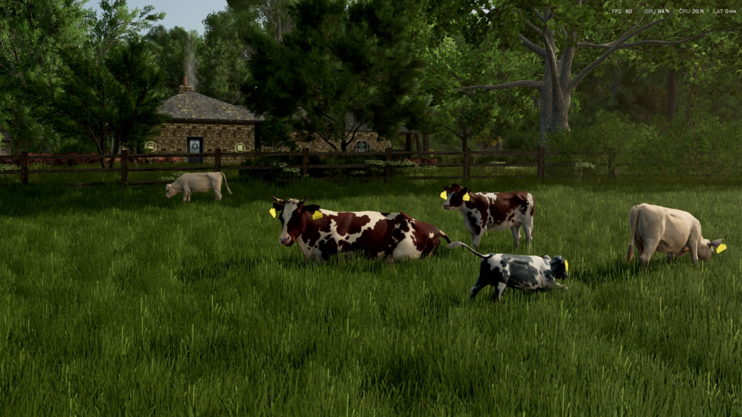 Cow Breeds (RLRM) V1.0