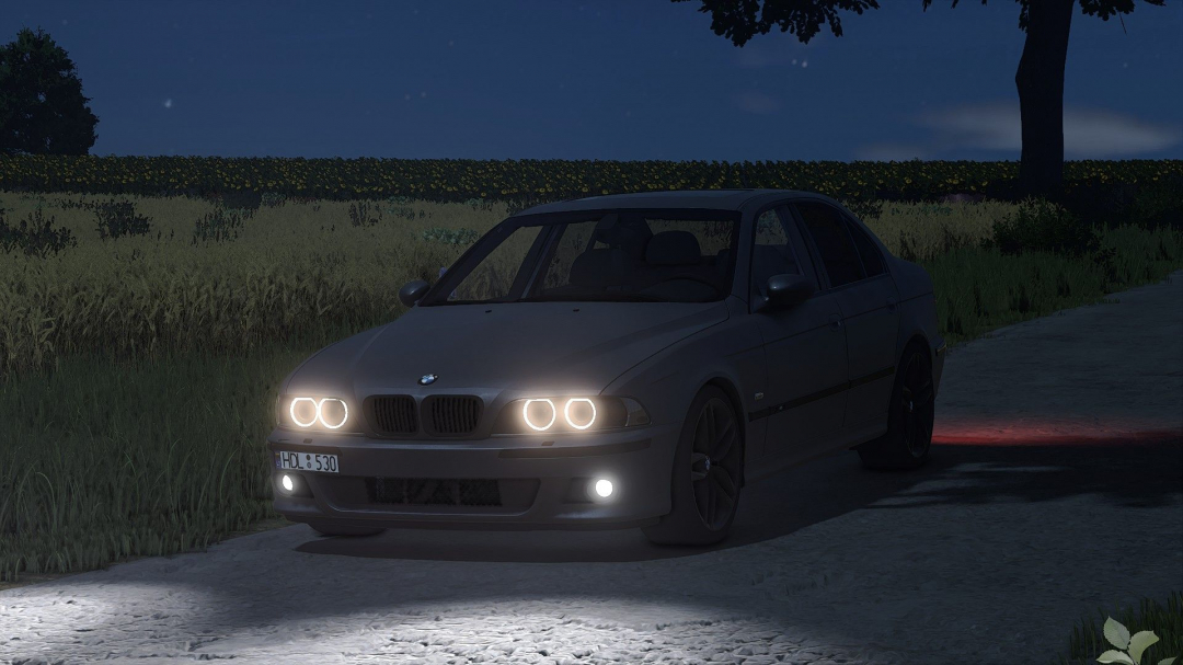 BMW E39 530D V1.5