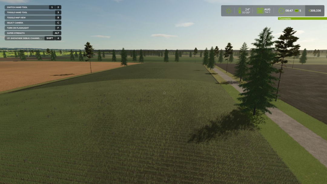 Birch Run V1.0