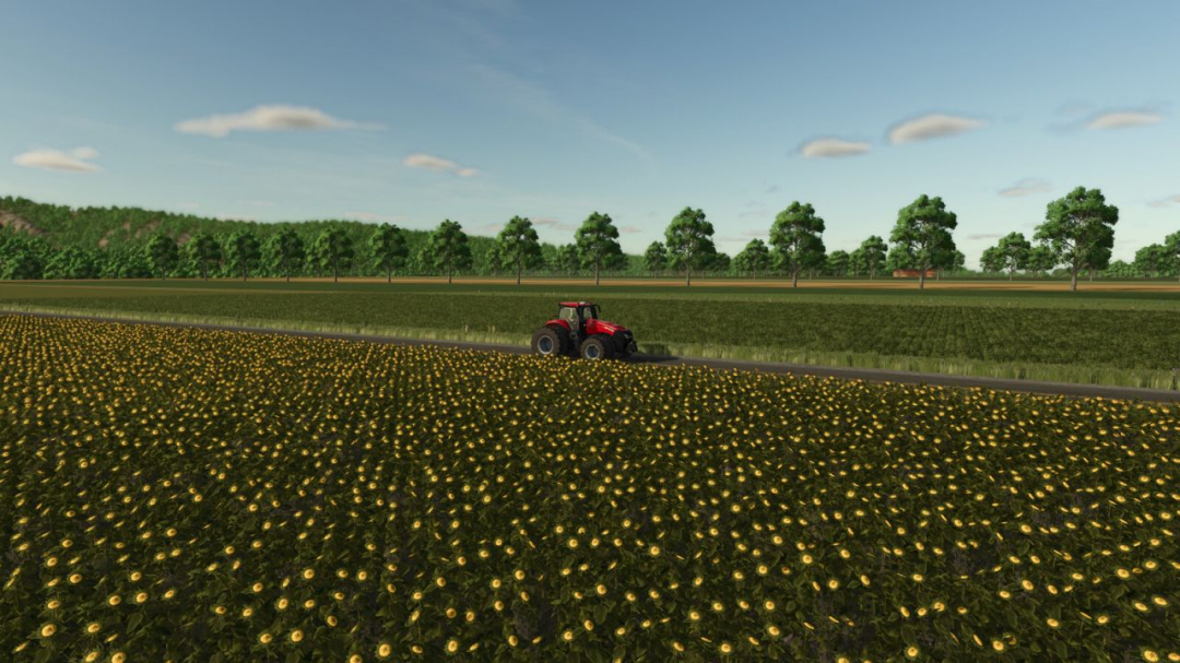 Deadwood The Next Chapter V1.0