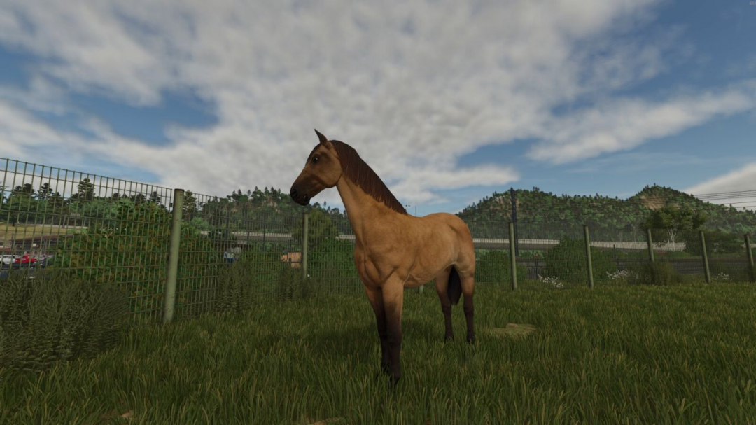 Stall Rental V1.0.0.1