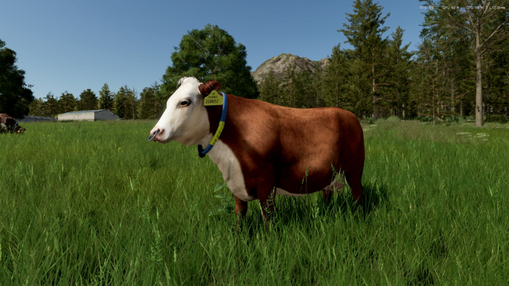 fs25-mods,  Cow Breeds (RLRM) V1.0.1