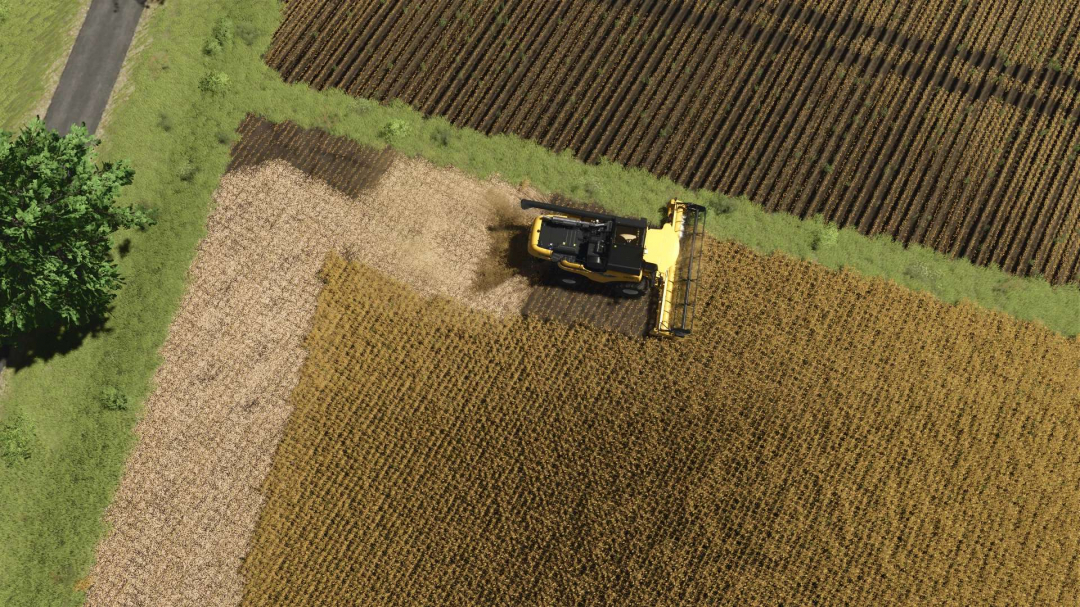 Soy texture v1.0