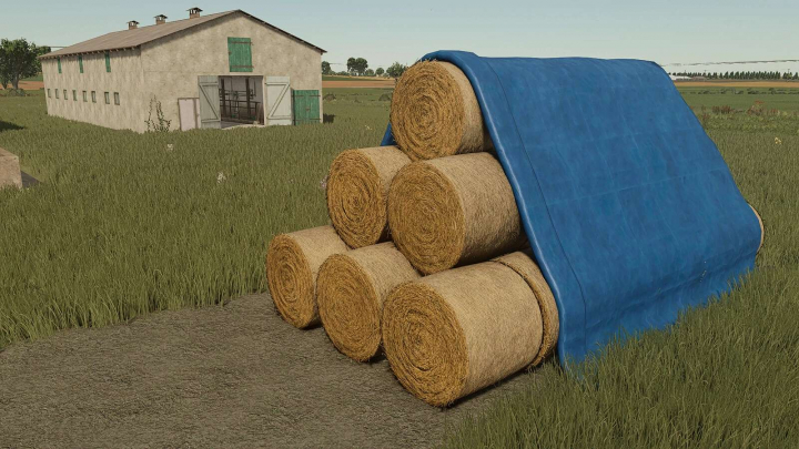 fs25-mods,  Bale Storage v1.0