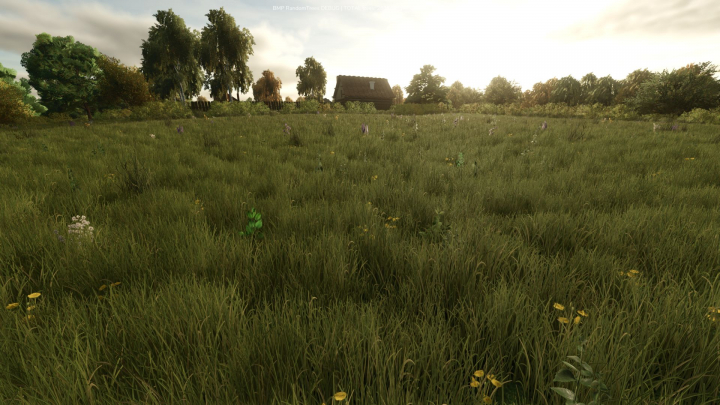 fs25-mods,  Growing Random Trees v1.0