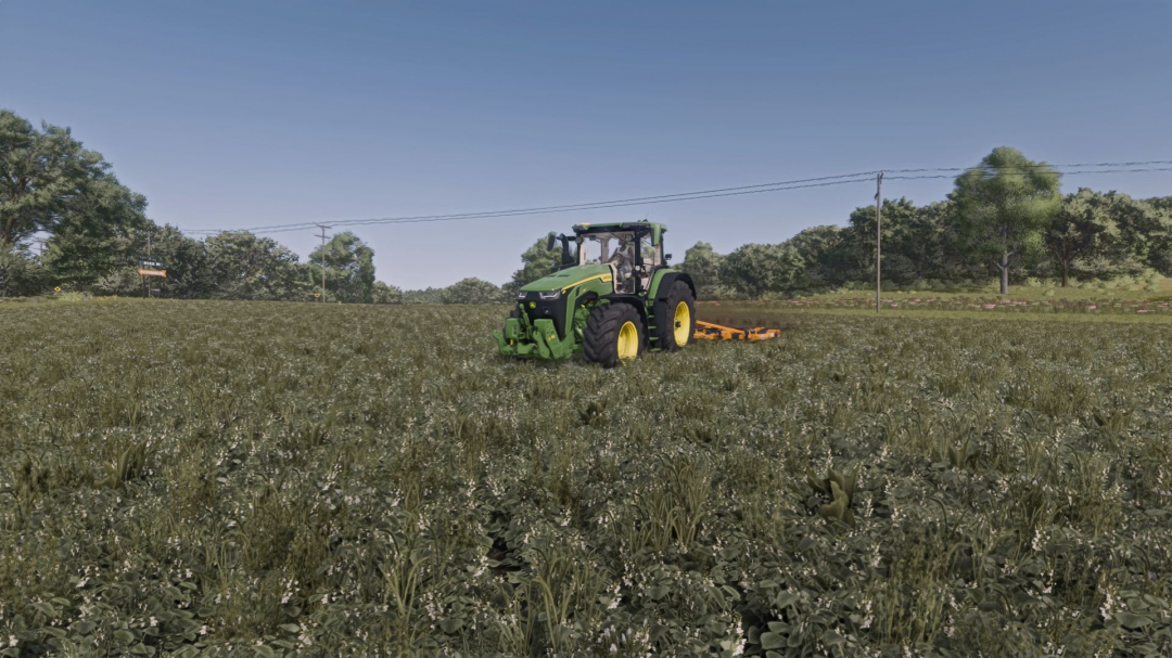 Lizard STAC450 V1.0