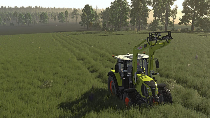 fs25-mods, Crop Destruction Outside Fields V1.0