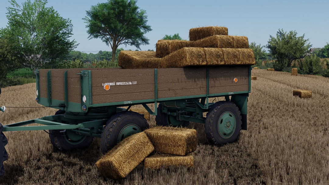 Lizard D44 V1.0