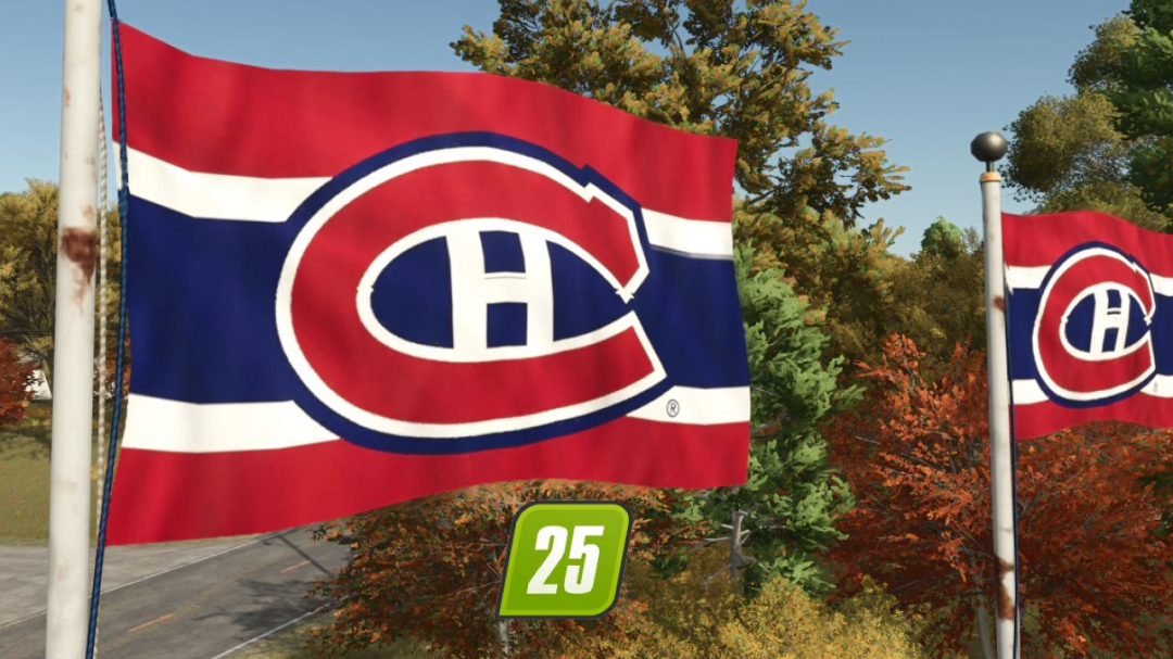 Montreal Canadian Hockey flag V1.0
