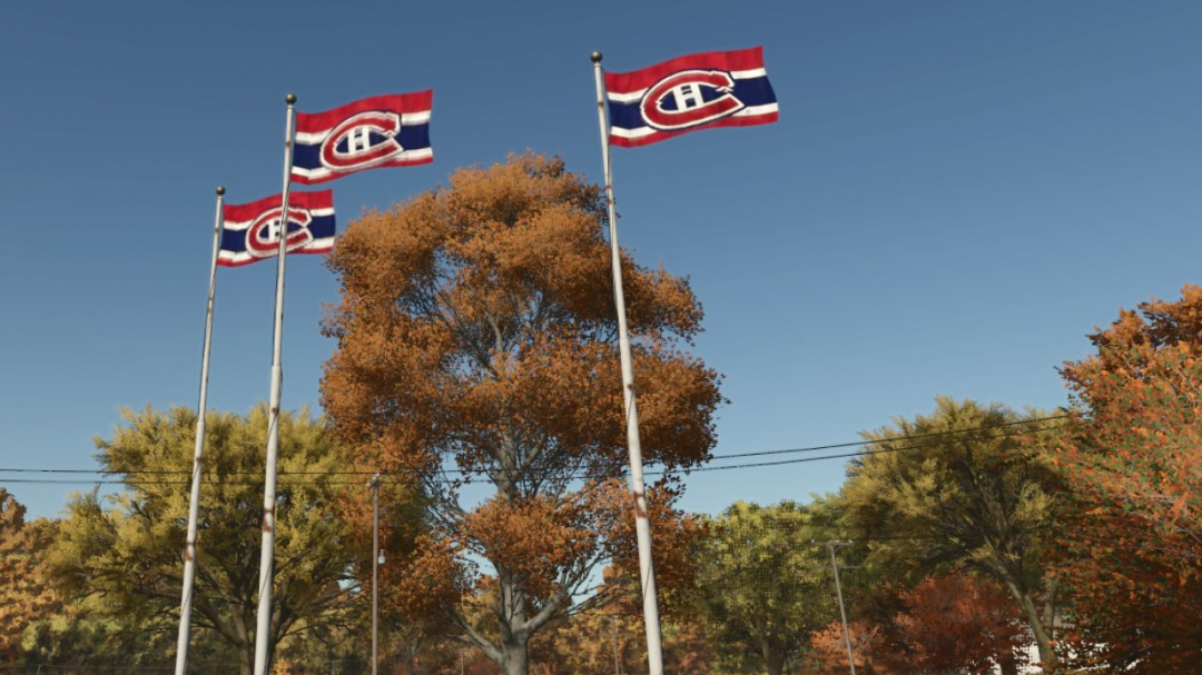 Montreal Canadian Hockey flag V1.0