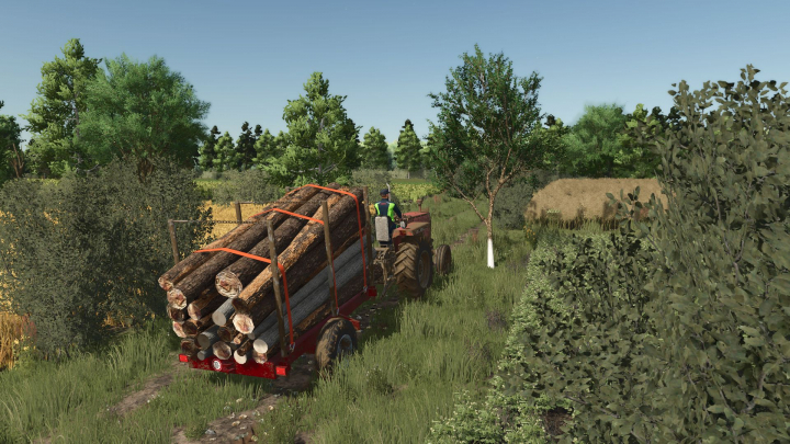 fs25-mods,  Small log transport trailer V1.0.0.1