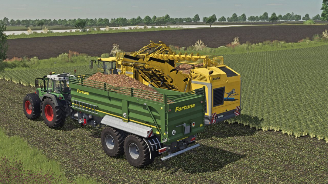 Fortuna FTM 200 / 7.5 V1.0