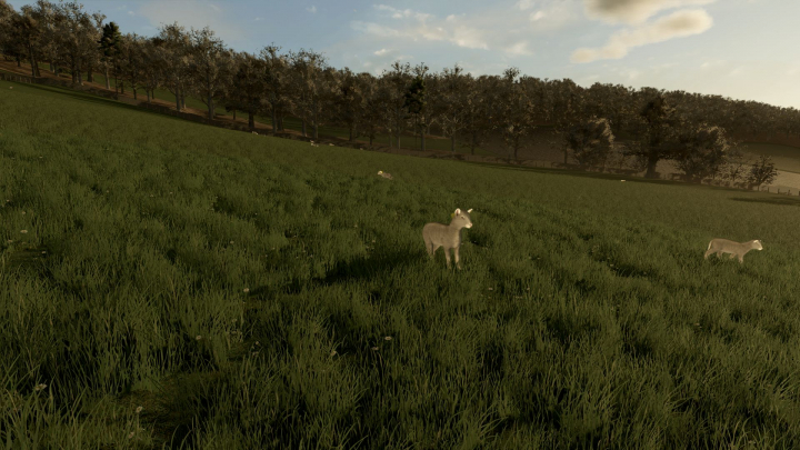 fs25-mods,  Animal Ground Placement Fix V1.0