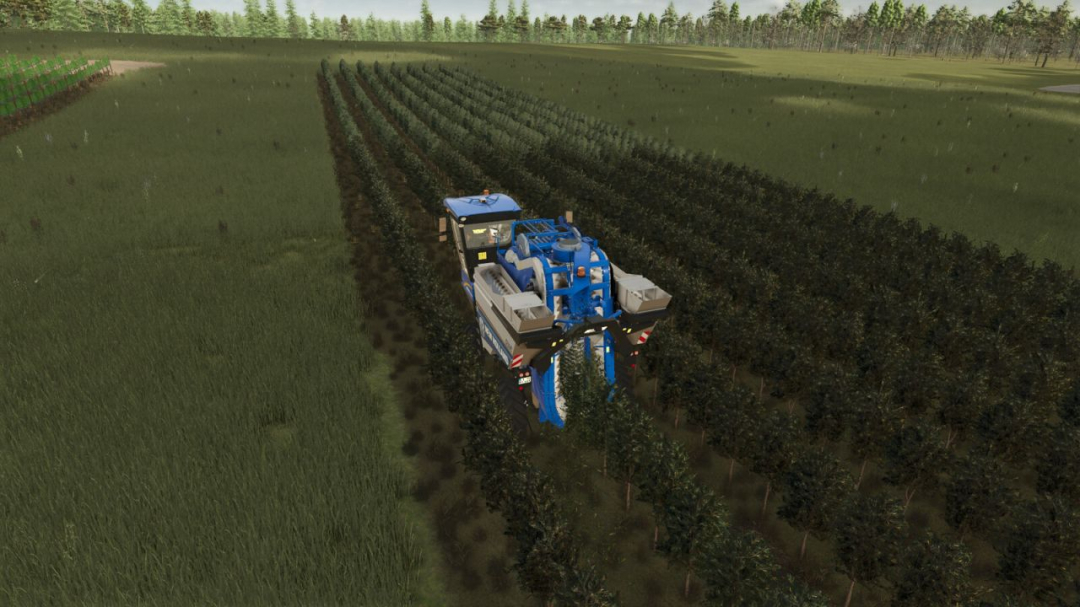 GrapeProcessing And Grape Olives Vines V1.1