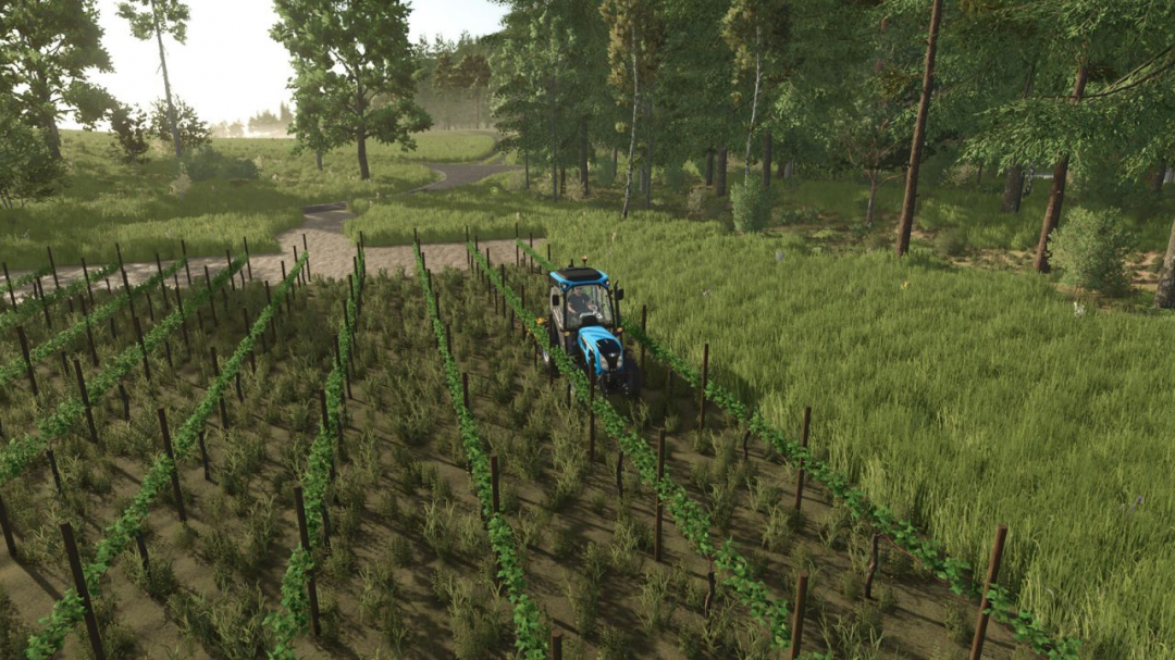 GrapeProcessing And Grape Olives Vines V1.1