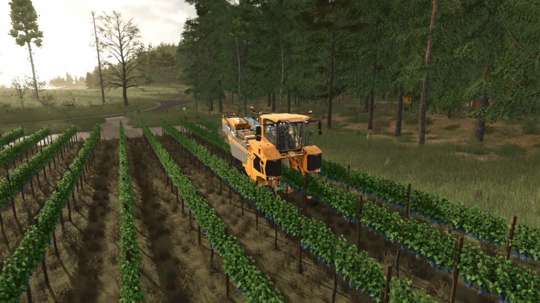 GrapeProcessing And Grape Olives Vines V1.1