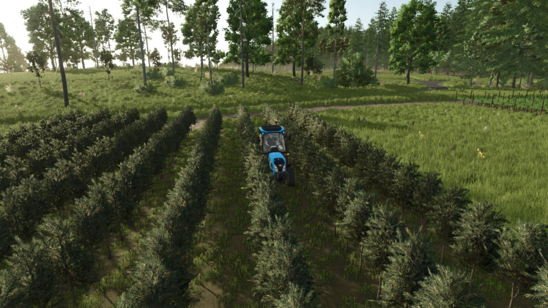 GrapeProcessing And Grape Olives Vines V1.1