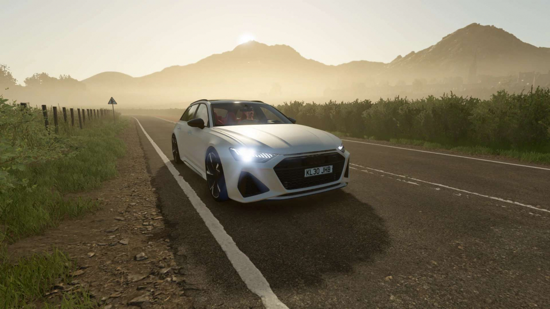 AUDI RS6 AVANT 2020 V1.0
