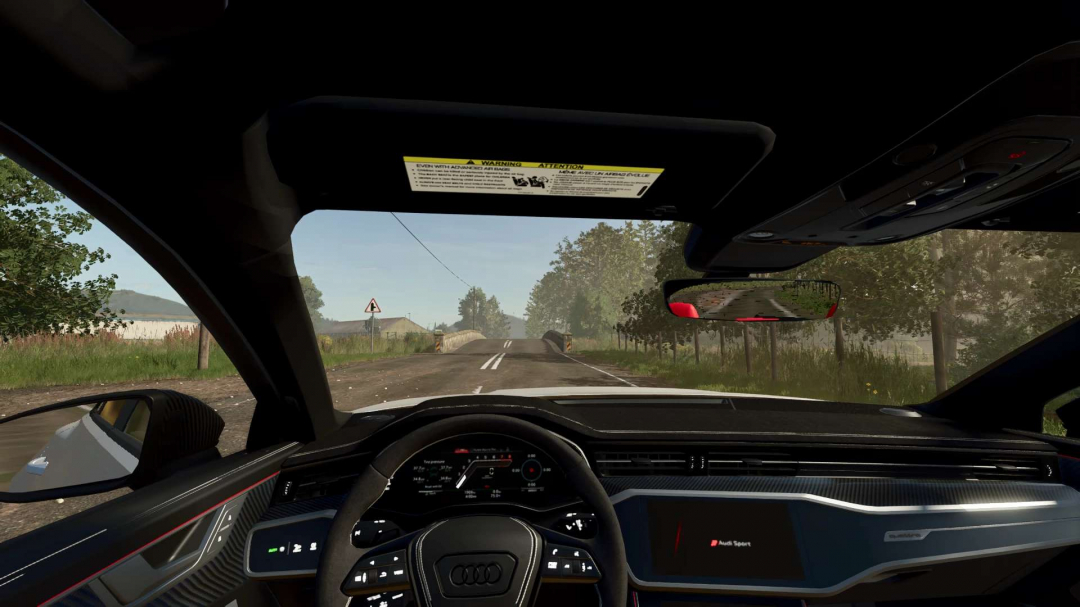 AUDI RS6 AVANT 2020 V1.0