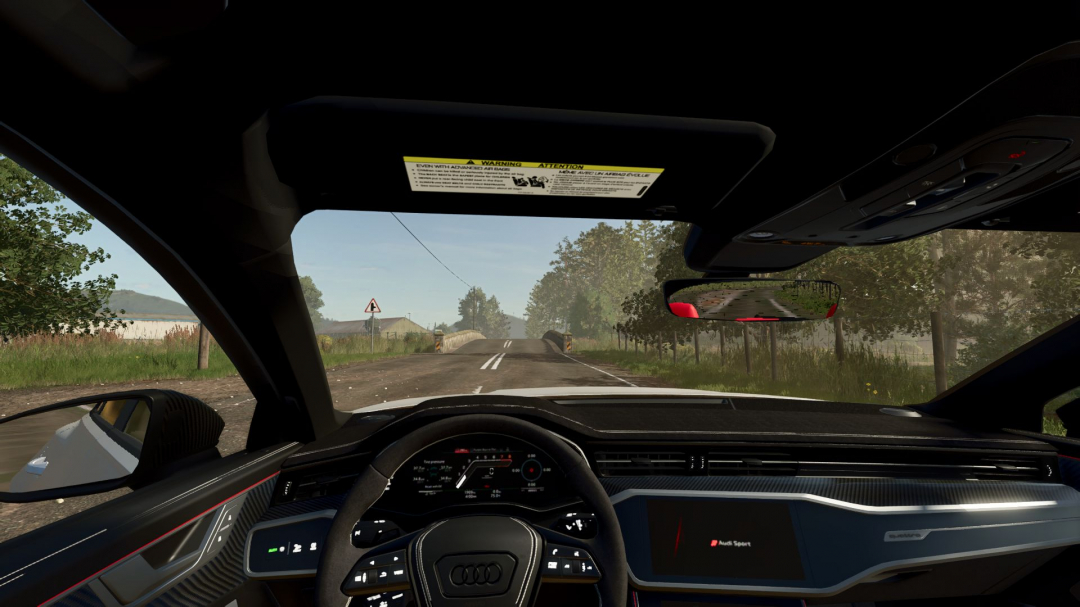 AUDI RS6 AVANT 2020 V1.1