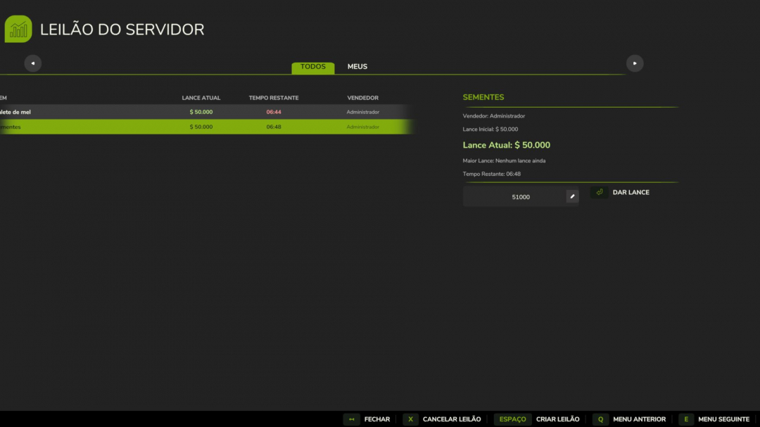 Server Auction V1.0
