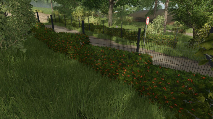fs25-mods, Hedges Pack v1.0