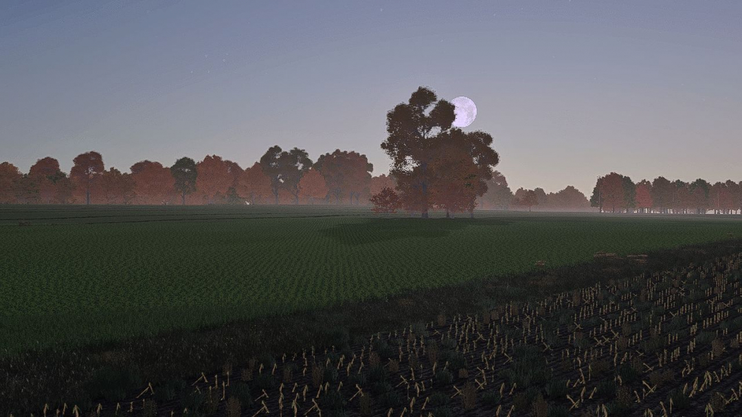 BTTm Reshade Preset V1.0
