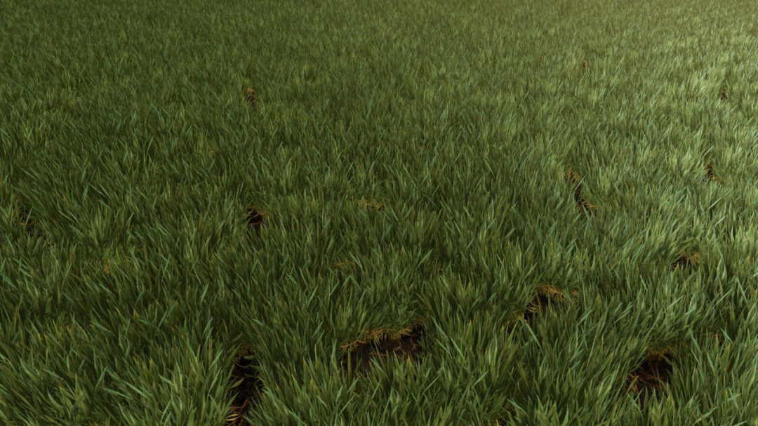 Weed Cleaner – Dead Weeds Disappear V1.0