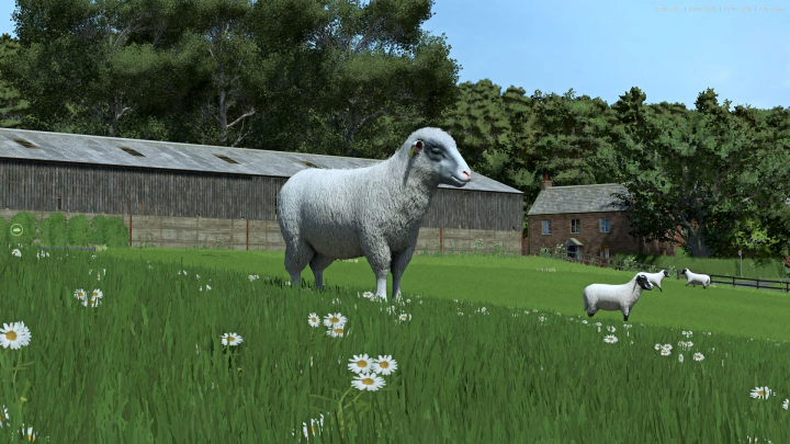fs25-mods,  Sheep Breeds for RLRM v1.0