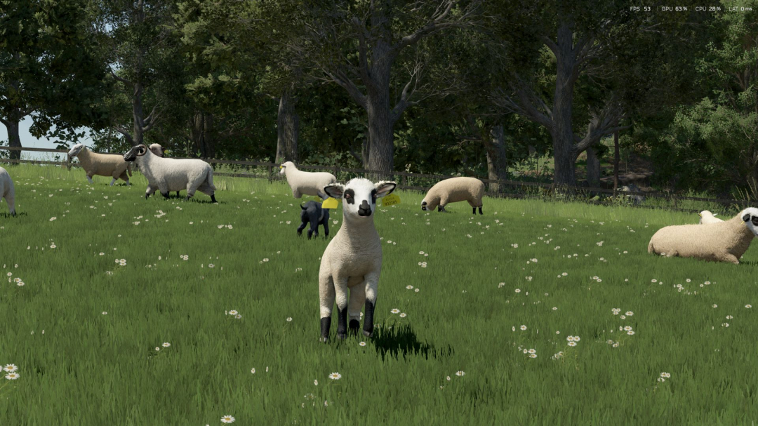 Sheep Breeds for RLRM v1.0