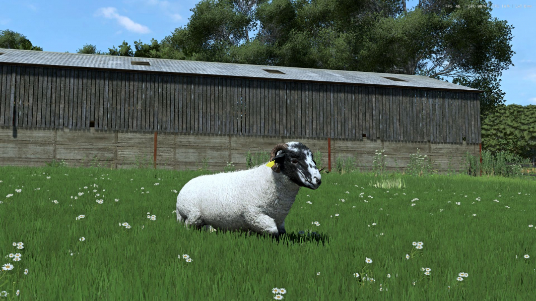 Sheep Breeds for RLRM v1.0