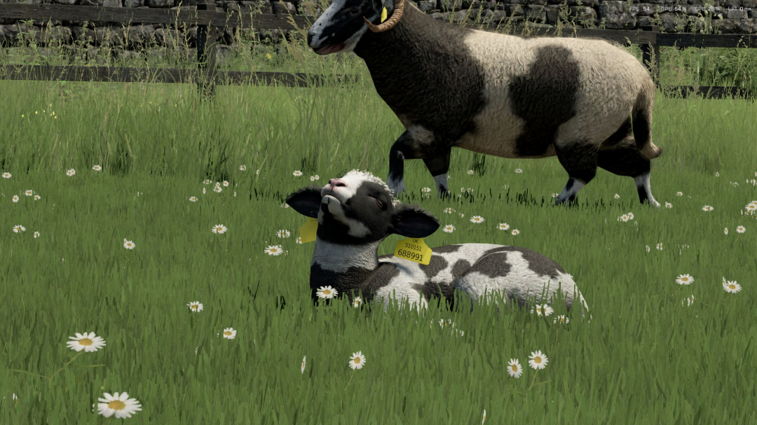 Sheep Breeds for RLRM v1.0