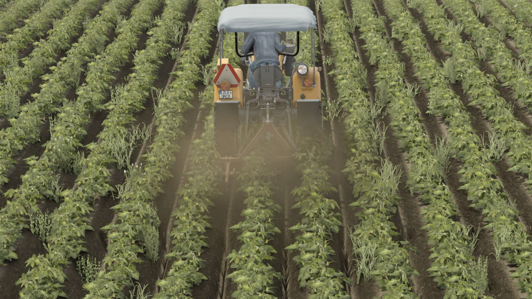 Weeder V1.0
