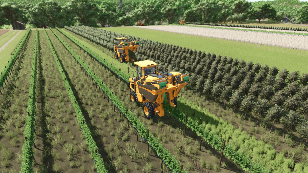 Grape And Olive Yield Settings V1.0