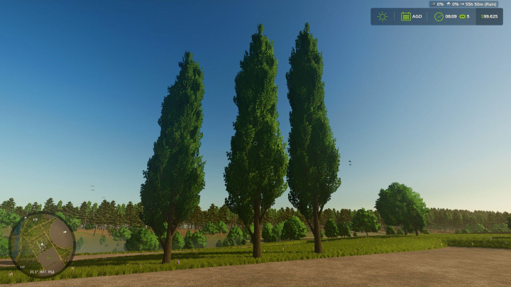 fs25-mods,  Black poplar (tree) V1.0