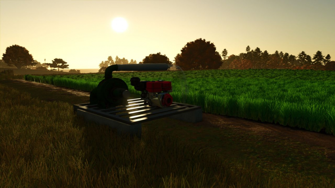Custom Rice Fields BR V1.0