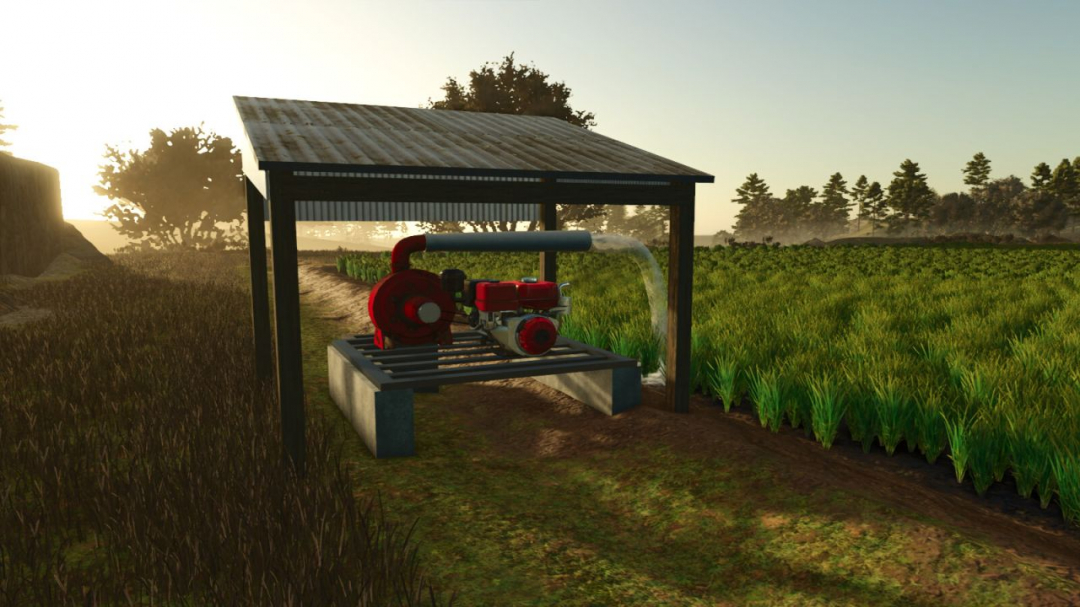 Custom Rice Fields BR V1.0